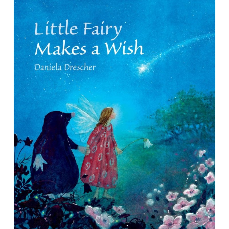 Little Fairy Makes a Wish 3+