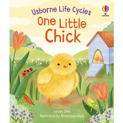 Livro One Little Chick Life Cycle 2+