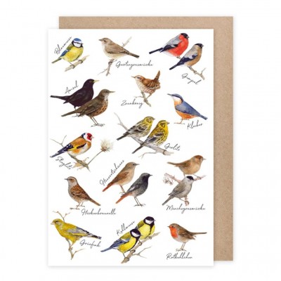 Cartão Pássaros com Envelope