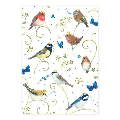 Postal Pássaros e Flores